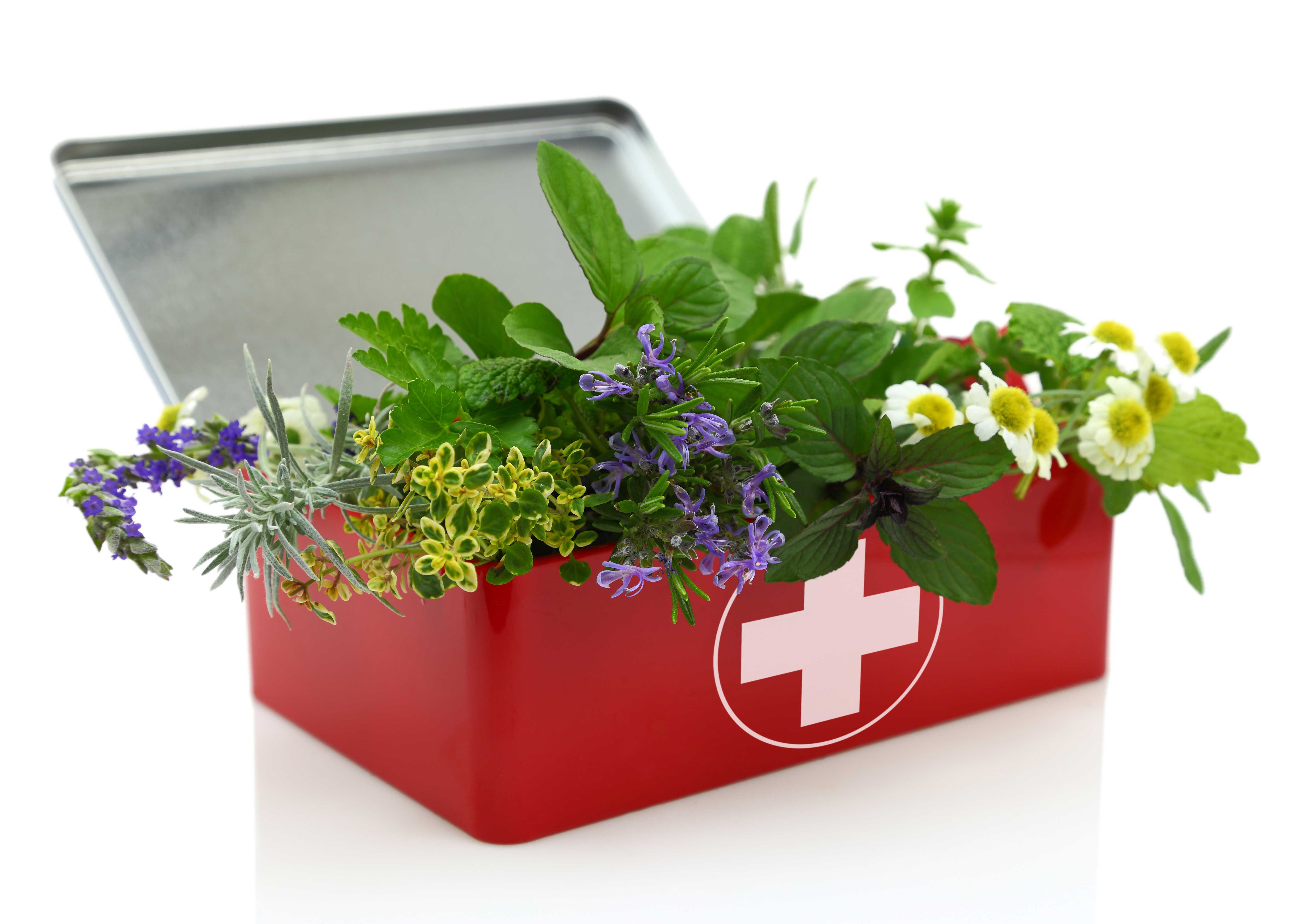 Herbal Remedies for Common Complaints