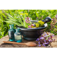 Understanding Herbal Medicines in the 21C